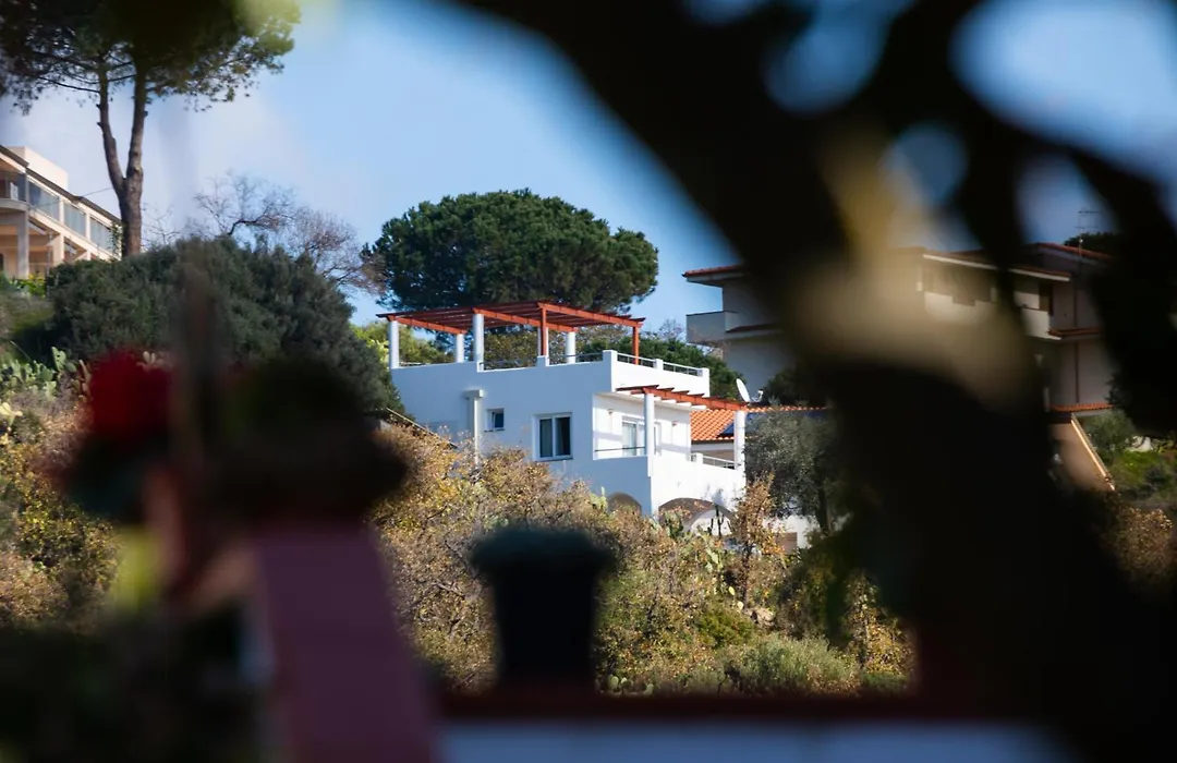The Olive Tree - Seaview Apartments-1