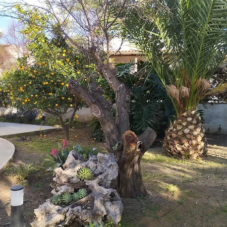 Casa Cunaci Bed And Breakfast-2